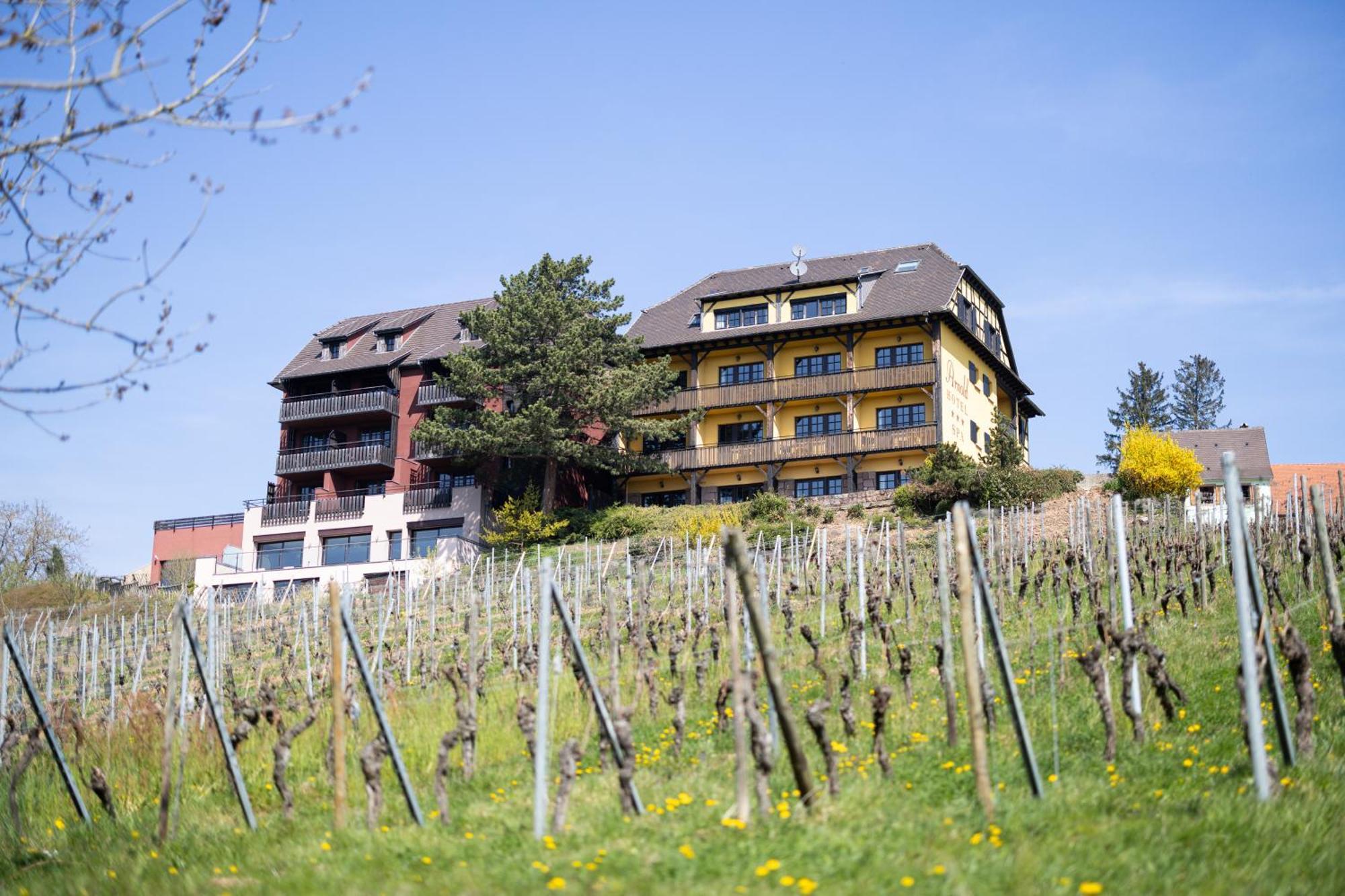 Hotel Arnold Itterswiller Exterior foto